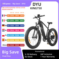 DYU King-750 Mountain Electric Bike, Brushless Motor, 20Ah Battery, Range 80 km, 45 km/h, Max Speed, 48V, 750W, 26 inches,