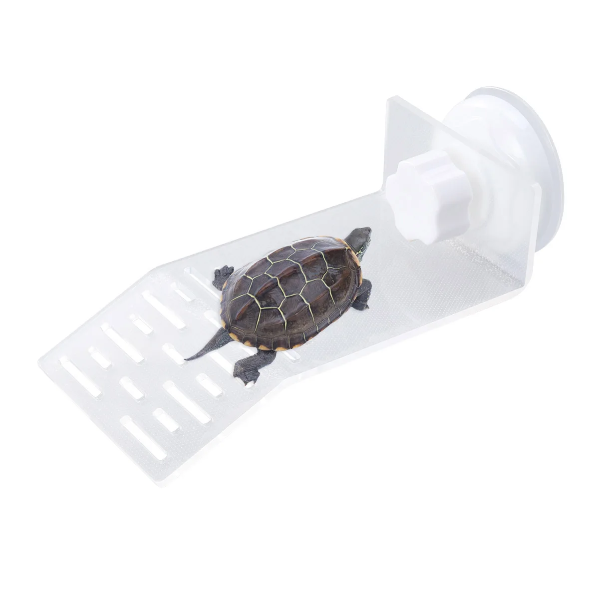 

Turtle Platform Sunset Reptile Climbing Decor Sea ​​turtle Habitat Accessories Floating Dock