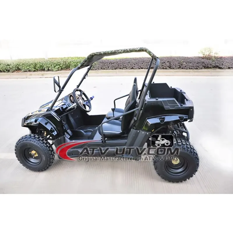 Picture 5: 2026 150cc, 300cc Side by Side UTV, Utility Terrain Vehicle