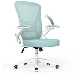 Chaise de bureau ergonomique avec support lombaire, chaise de bureau à dossier haut, chaise de travail informatique, chaise de jeu en maille