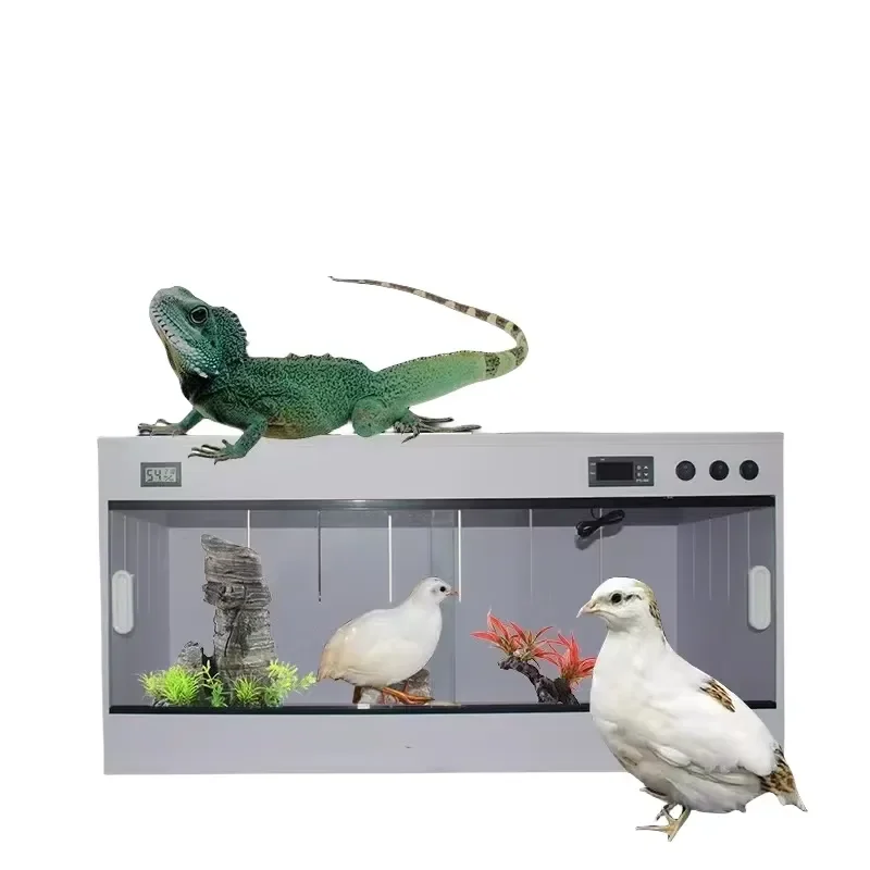 PVC Reptile Cage for Snakes Lizards Geckos Spiders Tortoises Hamsters Birds Climbing Pet Box Reptile Cabinet