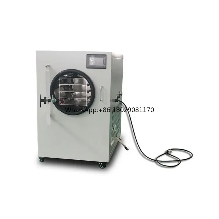 Freeze dryer food grade vacuum freeze dry machine Lyophilizer Machine Industrial Fruit Food Vacuum Freeze Dryer