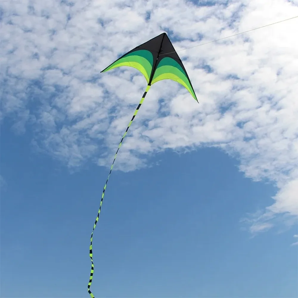 Nouveau Easy Fly 1.6m grand cerf-volant Delta avec 100M ligne de cerf-volant longue queue bon cerf volant Ripstop arc-en-ciel cerf-volant voyages en famille