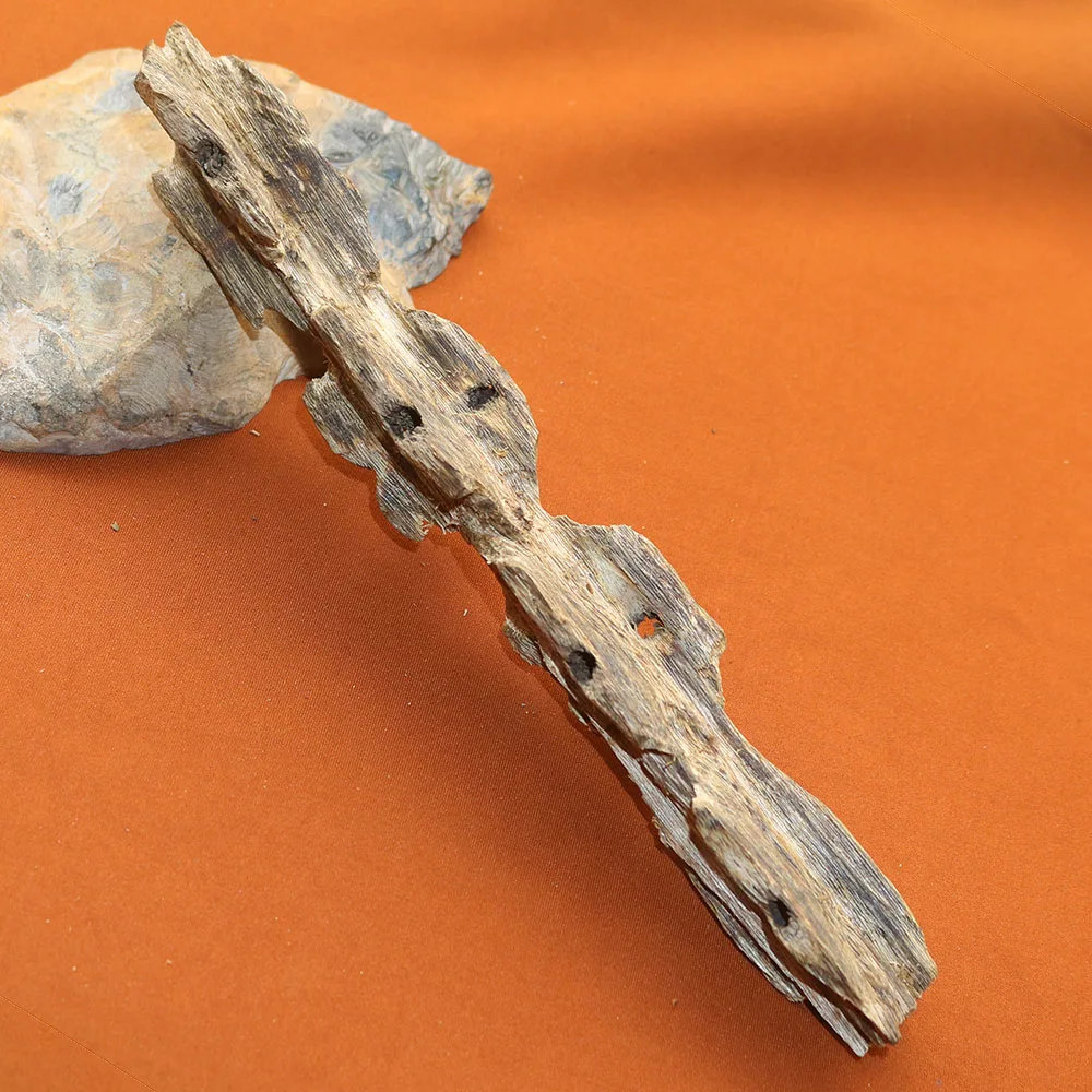 

Благовония Kynam Block Decor 53 грамма для дома и офиса, Qinan Kyara, натуральный фруктовый аромат, выращенные в Китае.