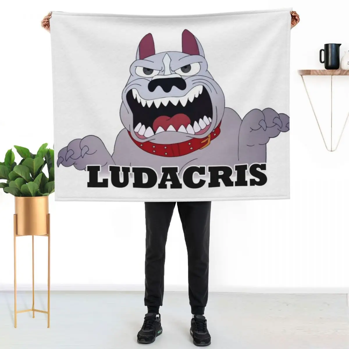 BIG MOUTH Featuring Ludacris Pitbull Throw Blanket Custom Cute Soft Soft Big Softest christmas decoration Blankets