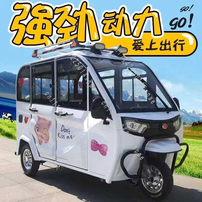 Optional National Standard Enclosed Electric Tricycle Household with Shed Adult Transportation