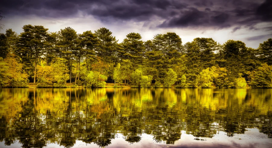 

SIYI N7 Autopilot Flight Controller, Compatible with Ardupilot & PX4, M9N GPS, 2-14S Power Module for RC Drone UAV Quadcopter