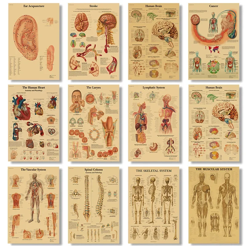 Póster Retro de sistemas de órganos en el cuerpo humano, arte De pared con anatomía De esqueleto, pintura en lienzo, imagen impresa, aula, oficina, habitación