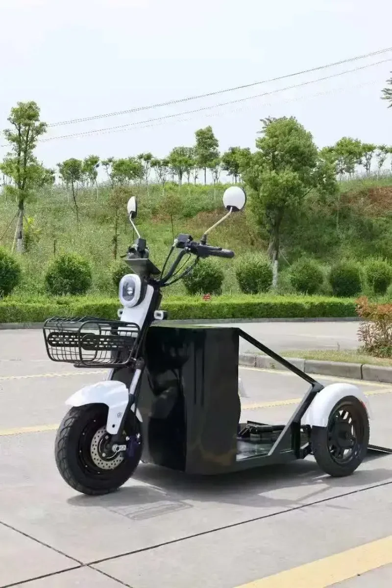 exquisite craftsmanship New Energy Disabled Electric Tricycle and Four-Wheel Mother- Car Open Body Type 48v Voltage