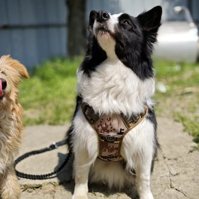 Tactical pet dog chest strap metal iron strap explosion-proof thickened nylon chest back large and medium dog pet