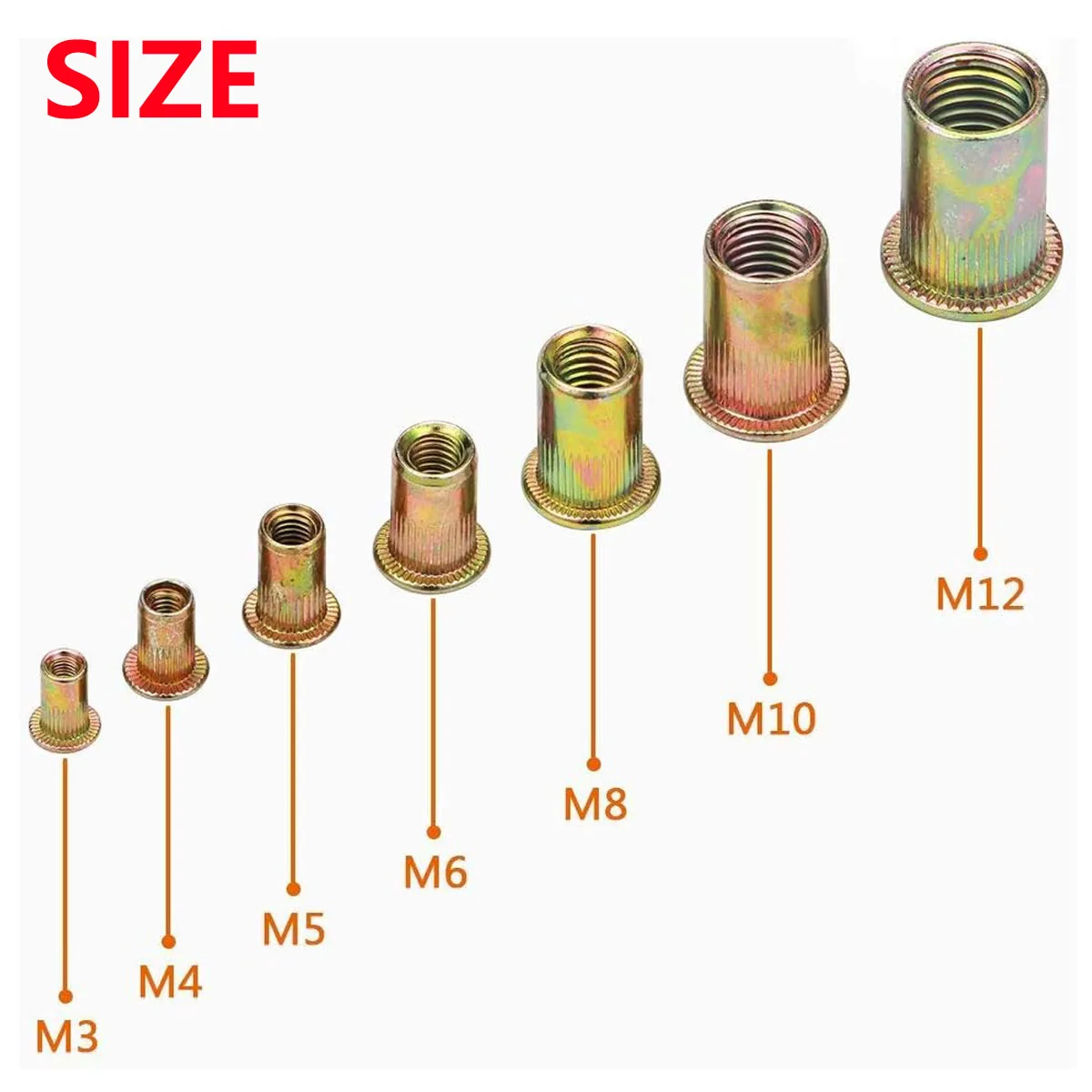 175Pcs Carbon Steel Rivet Nut Assortment Flat Head M3 M4 M5 M6 M8 M10 M12 Threaded Insert Nuts Kit for Metalworking DIY Projects