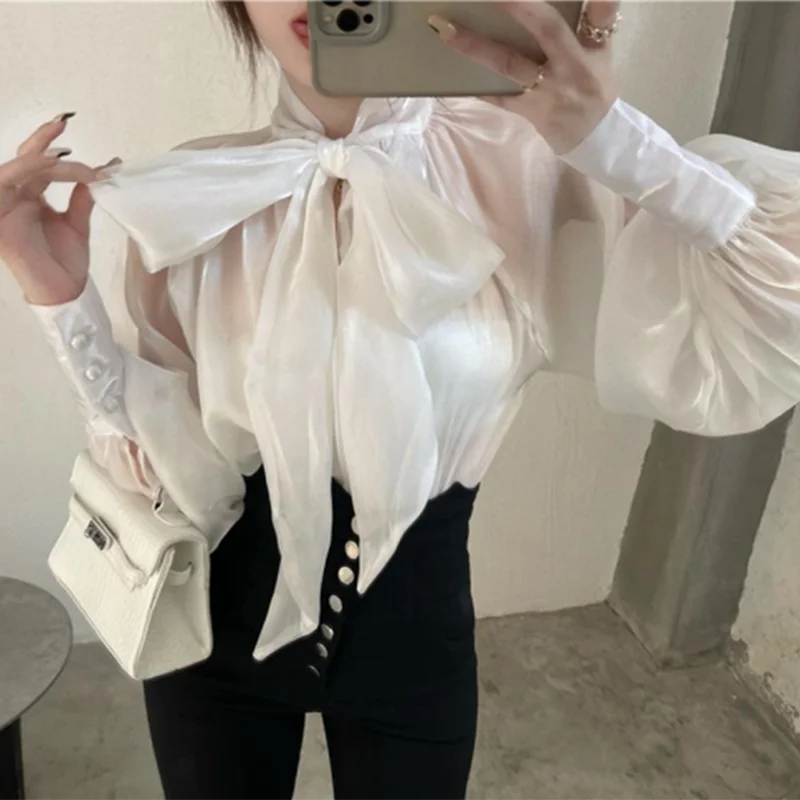 

Double Side Chiffon Blouse Women Summer New Long Sleeve Elegant Sheer Loose Shirt Bow Tie Casual Commuter Chic Draped Lady Tops
