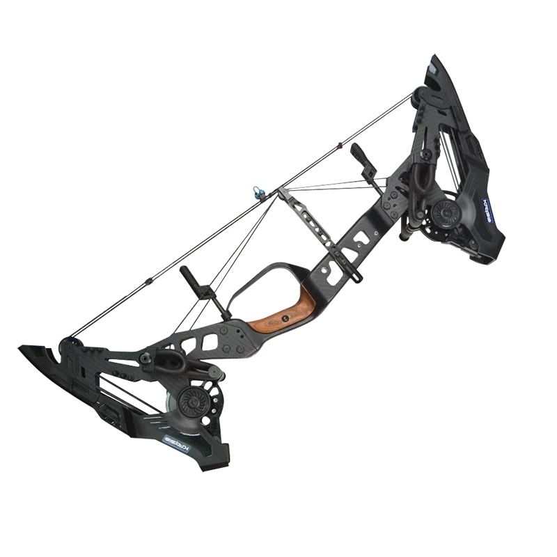 Archery China Compound Bow 21.5-80 Lbs Dual-use Compound Composite Bow Shooting And Hunting Accessories