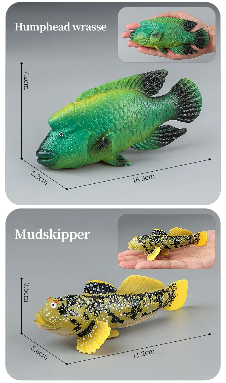 Meeresleben-Tiere-Modell, Actionfiguren-Set – Ozeanfisch, Thunfisch, Segelfisch, Bass, Zacker, Lachs, PVC, Lernspielzeug für Kinder – Detail 9