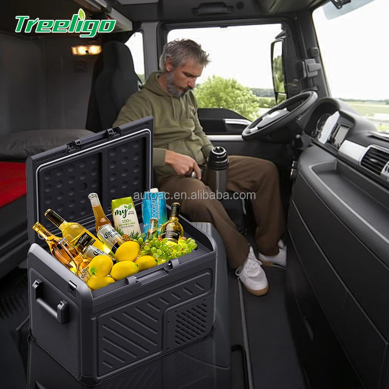 

Car Fridges Freezer Portable Camping Cooler Compressor Cooling Freezer DC 12V/24V Mode Small Truck Refrirator