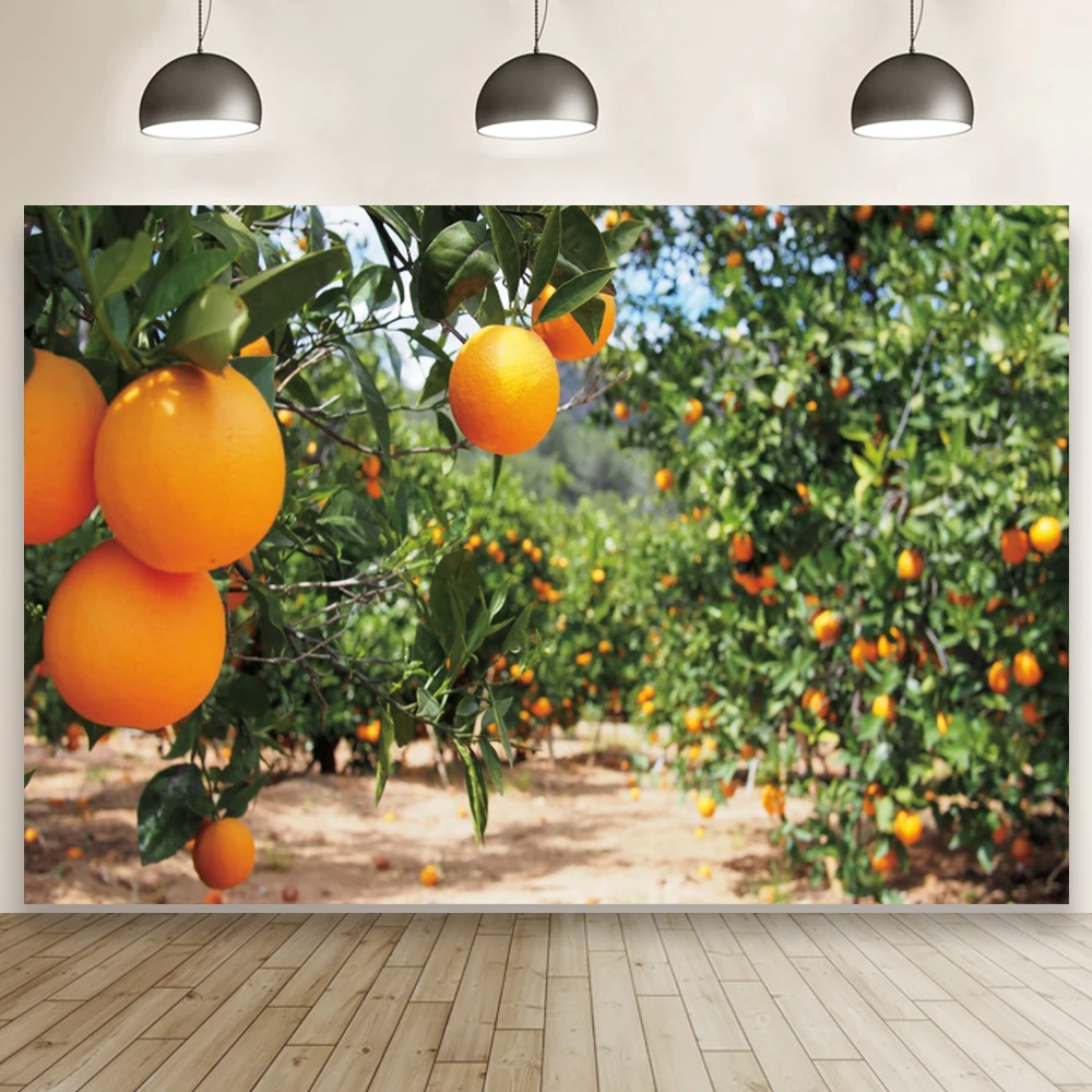 Telón de fondo de huerto, naranja, manzana, árbol, vista Natural, estudio, Retrato, fotografía, decoración de habitación, fotomatón