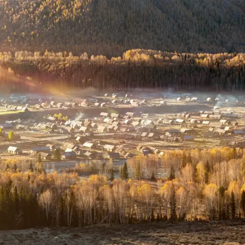 

Водонепроницаемый сервопривод 45 кг D5535GS 180/270/360° ° Алюминиевый корпус, цифровой, с металлическим редуктором, HV, безколлекторный, E-Power для радиоуправляемых машин, грузовиков, лодок
