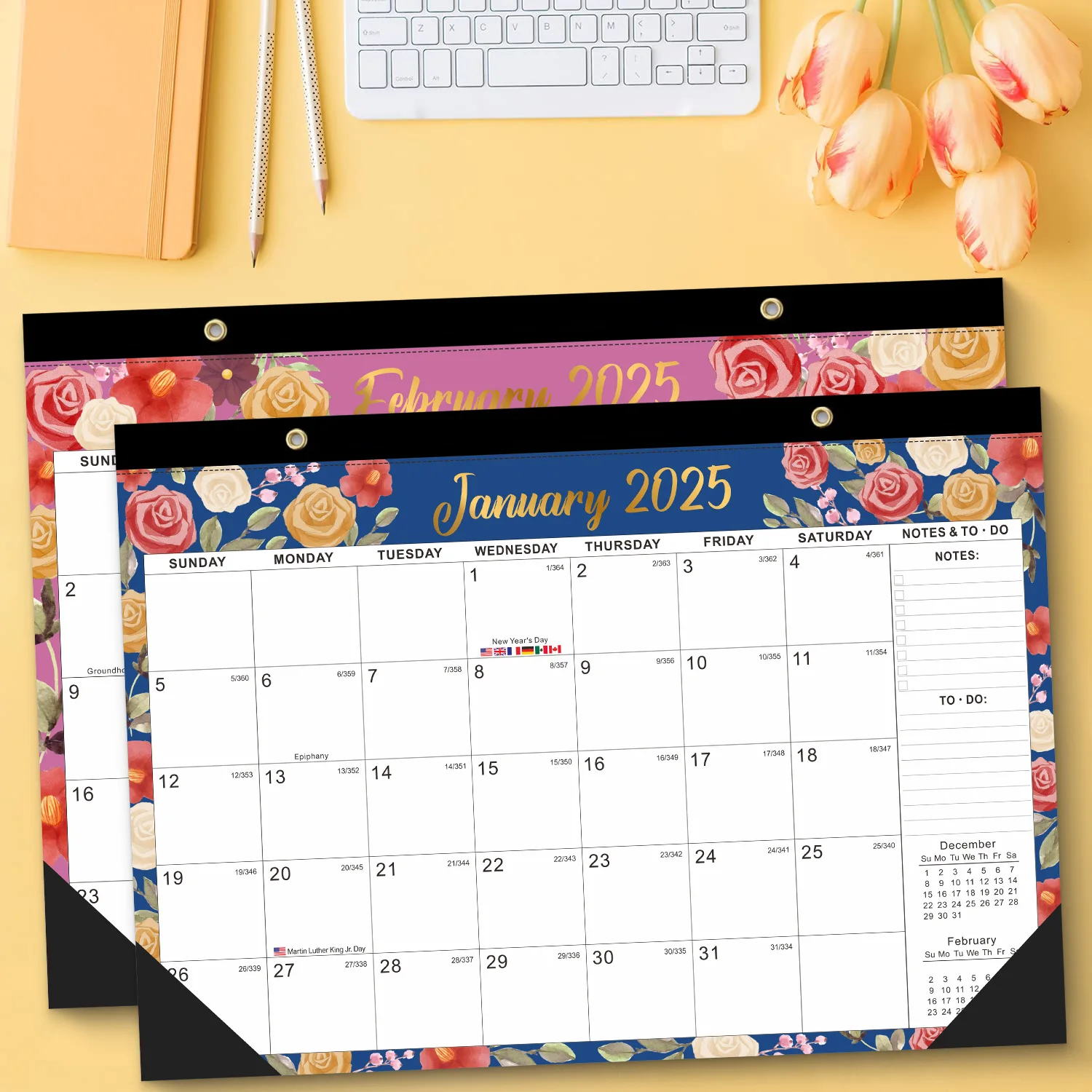 2025-2026 Wall Calendar 18 Monthly Wall Calendar from Jan.2025 - Jun.2026 Hanging Calendar Twin-Wire Binding Holiday Reminder