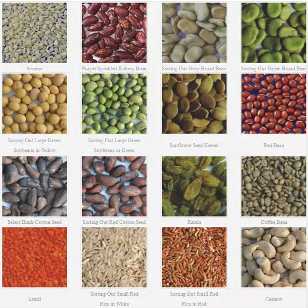 Agricultural 1-2TPH Color Sorter Customized Small Auto Rice Mill Machine Rice/Lentil/Sesame