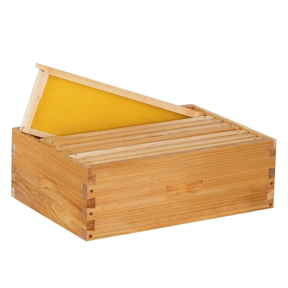 8 E Medium Super Bo…