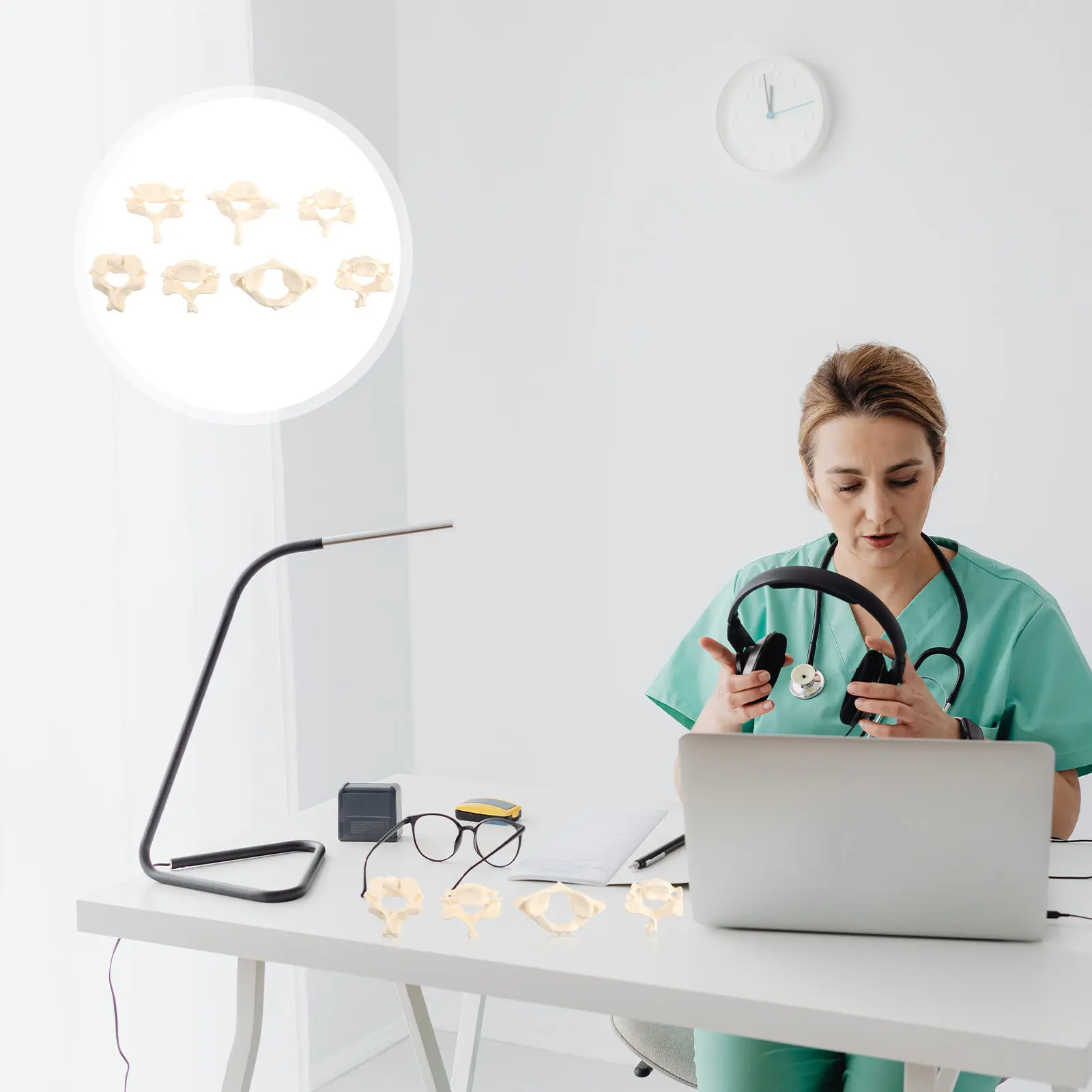 

Набор анатомических моделей позвоночника человека из ПВХ для обучения и изучения анатомии (для пациентов и студентов)