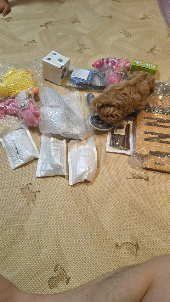 구매후기