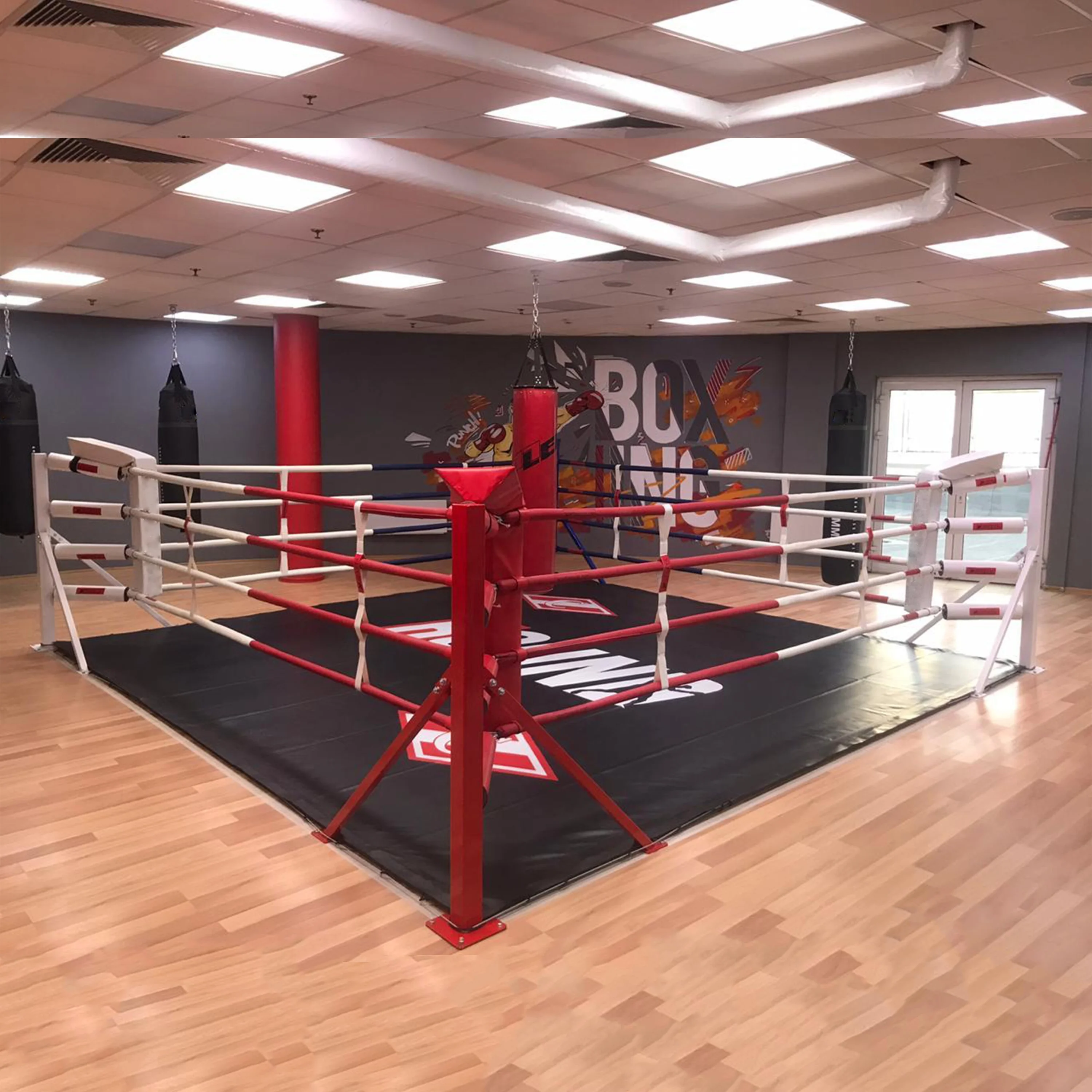Picture 7: Personalized Professional 6m X 6m Floor-Standing Boxing Ring Equipment for Competition