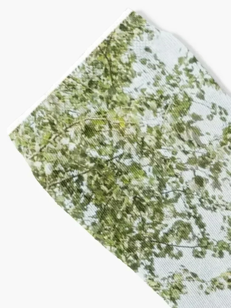 كشك بائع الكتاب يظهر على شوارع باريس جوارب زهرية مخصصة رياضية رائعة فاخرة للنساء للرجال