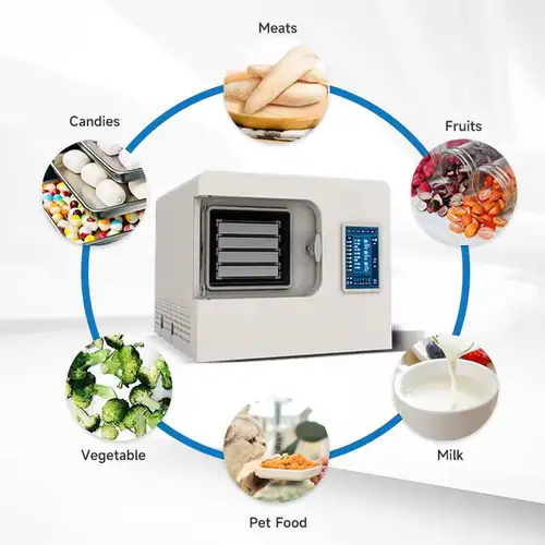 Intelligent Small Food Vacuum Freeze Drying Machine Freeze