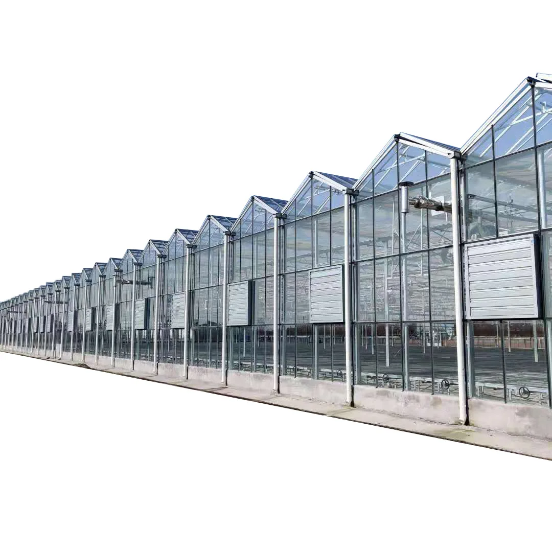 2025 وصول جديد الزجاج الجاهز تصميم البيت الأخضر لوحة طاقة شمسية متعددة المراحل الدفيئة للمشروعات الزراعية