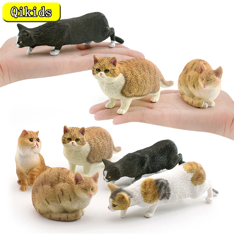 Kawaii Cute Miniature pastoral Cat Sphynx Persian Cat Kitten Animal Action Figure Model  Pet Toy Car Home Desktop Ornaments