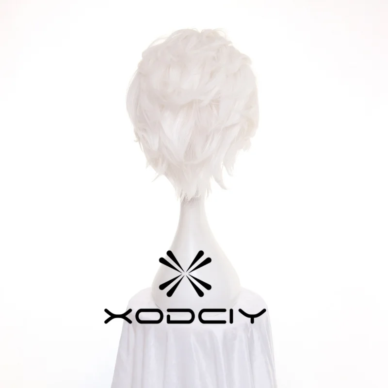 Fate Stay Night Go Extra Archer Emiya pelucas cortas blancas resistentes al calor pelo sintético Anime disfraz Cosplay peluca + gorro de peluca