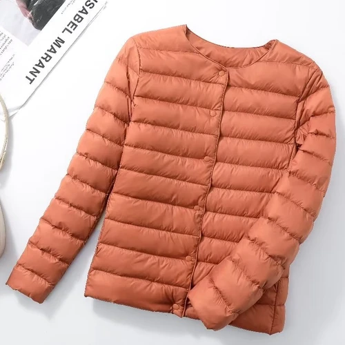 أسفل المعاطف