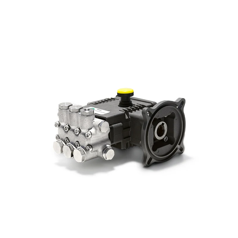High Pressure Booster Pump LL Triplex Plunger Pump 100Bar 2-6LPM SS.316L Stainless Steel Piston Pump for Salt Water Desalination