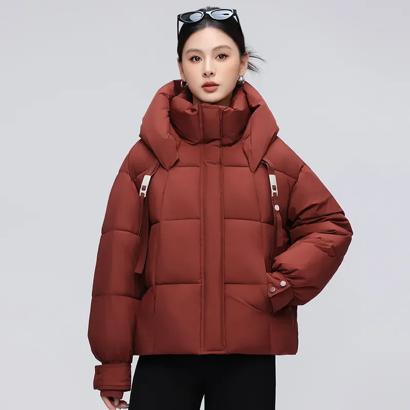 Fashion Loose Bread Coat Hooded Thicke Warm Parker Coat Cotton Coat 2024 Winter New Down Cotton-Padded Coat Women Short Overcoat