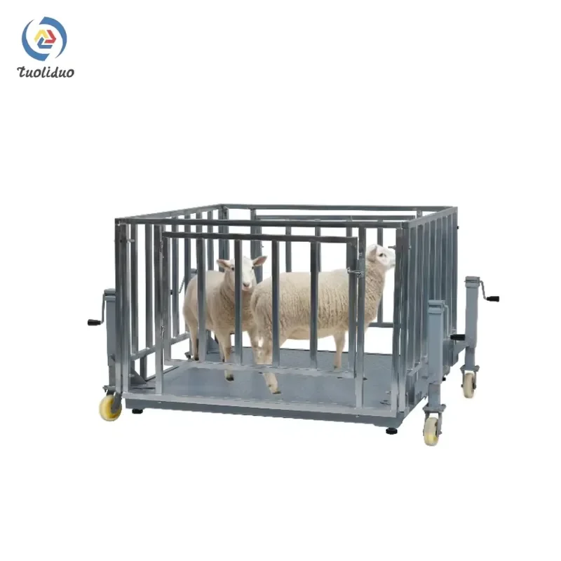High Quality Pig Cow Scale 1T 2T Livestock Weighing Platform with Fence 1.5x1.5M Animal Model for Farm Use Factory Direct