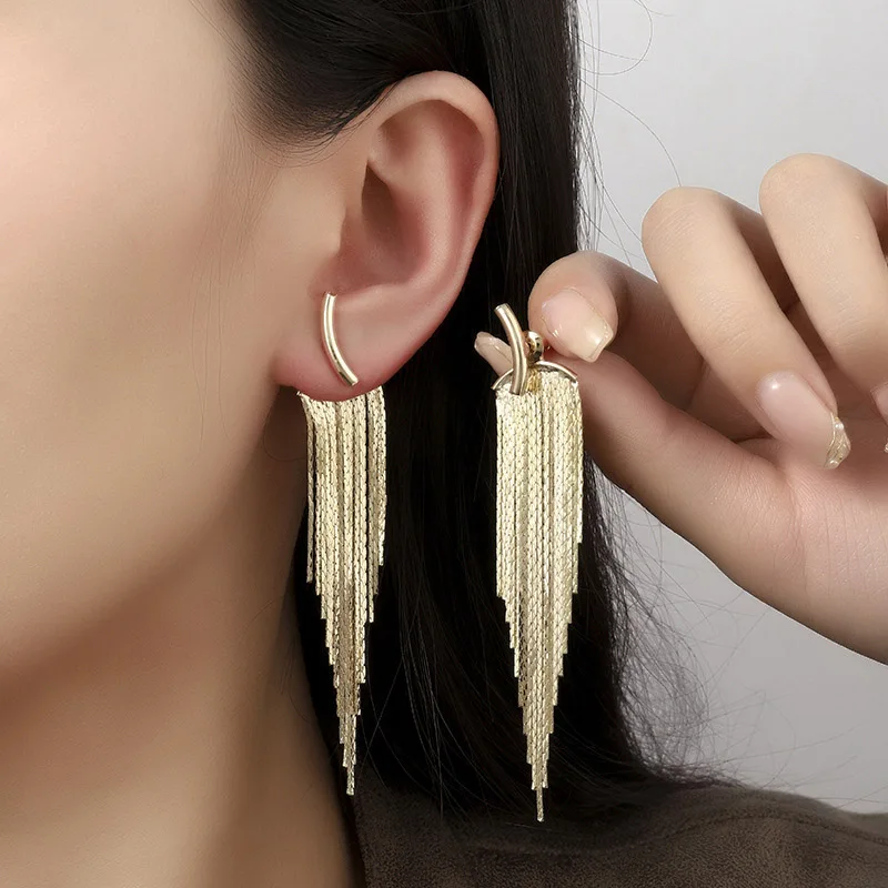 

Luxury Silver Needle Earrings European American Fashion Tassel Titanium Steel Micro-Inlaid AAA Zircon Personality Women's Jewelr