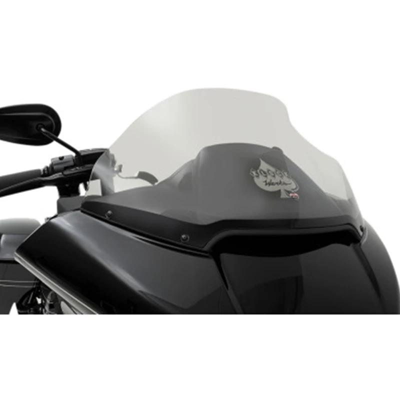 

Bat wing windshield, dual light CVO heightened windshield