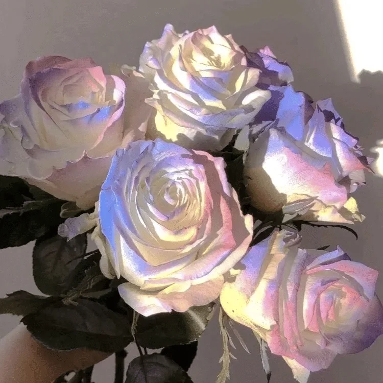 Usb-Schnellladebatt…