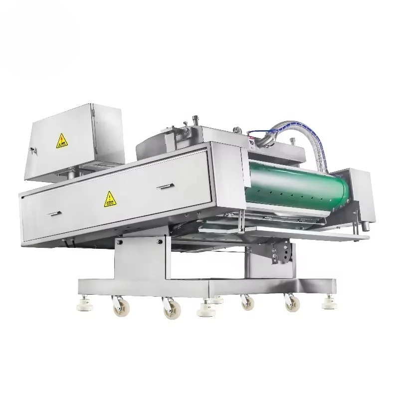 Automatic Compression Sealer Conveyor DZ-1000 Computer Controlled Continuous Rolling Type Vacuum Packing Machines for Fresh Food