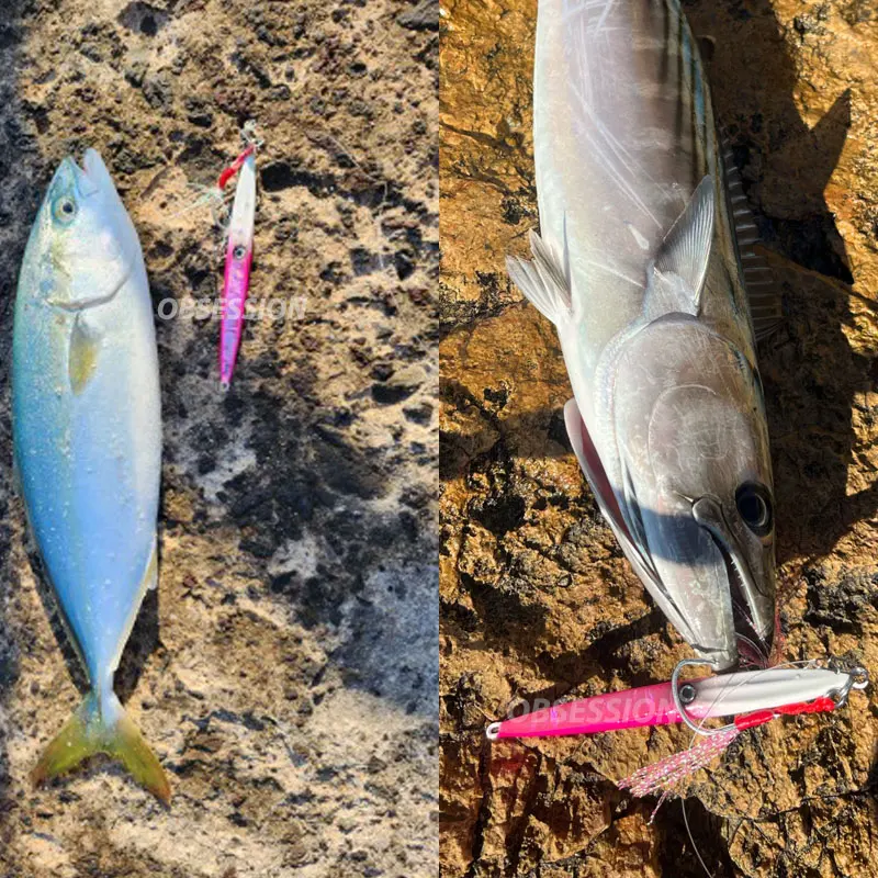 Spinner Jig Obsession J16 para Carpa y Pike – Multimás especies - imagen 4