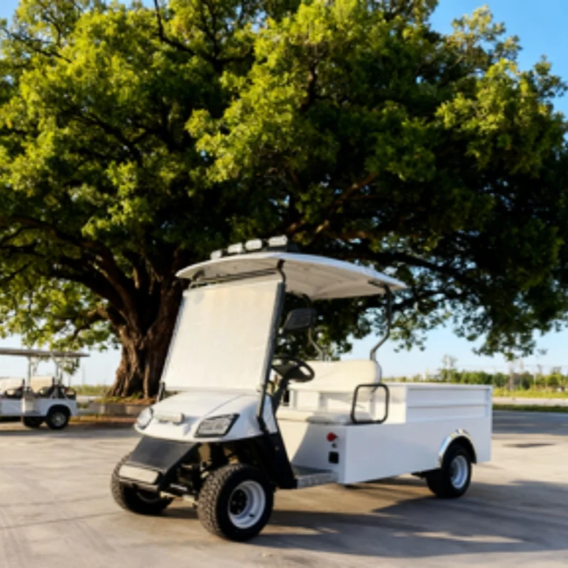 Golf Cart 4 Wheel Lithium Battery 2 Seater Electric Golf Buggy With Rear Cargo Box Convertible Cargo Cart Passenger And Cargo