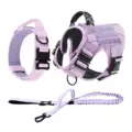 harness set2
