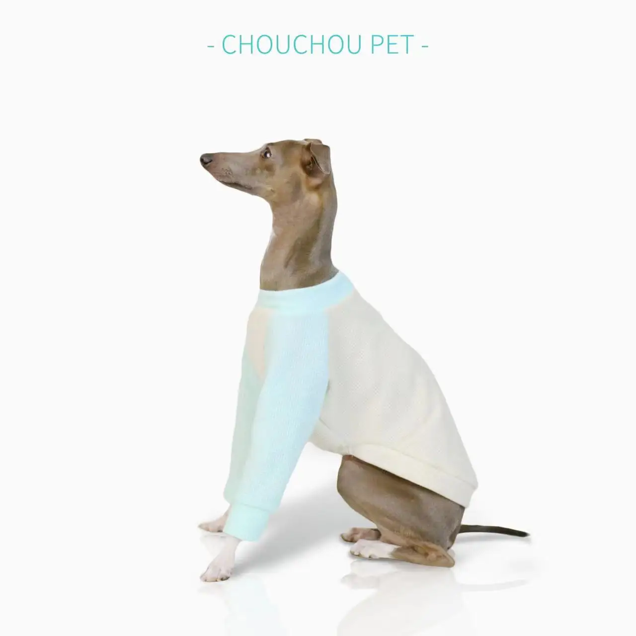 Waffle thin two-leg clothes Whippet breathable splicing pet clothes puppy medium dog clothes Doberman