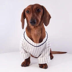 Conjunto polo a rayas con gorro para perros dachshund