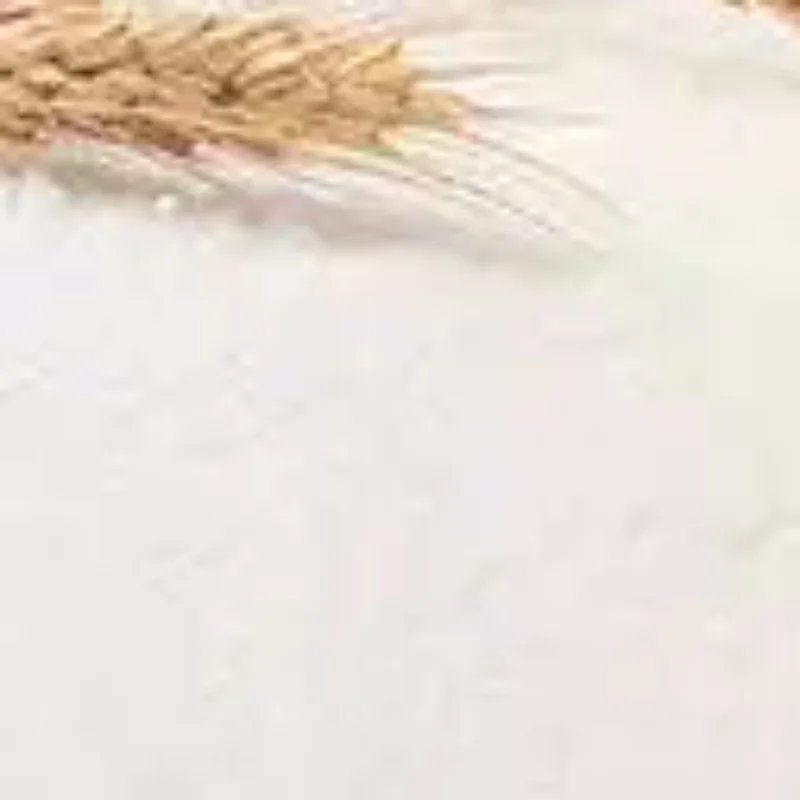 1 قطعة دمية جرو التفاعلية مع المقود الإلكترونية المشي والنباح أفخم لعبة الكلب للأطفال طفل الهدايا