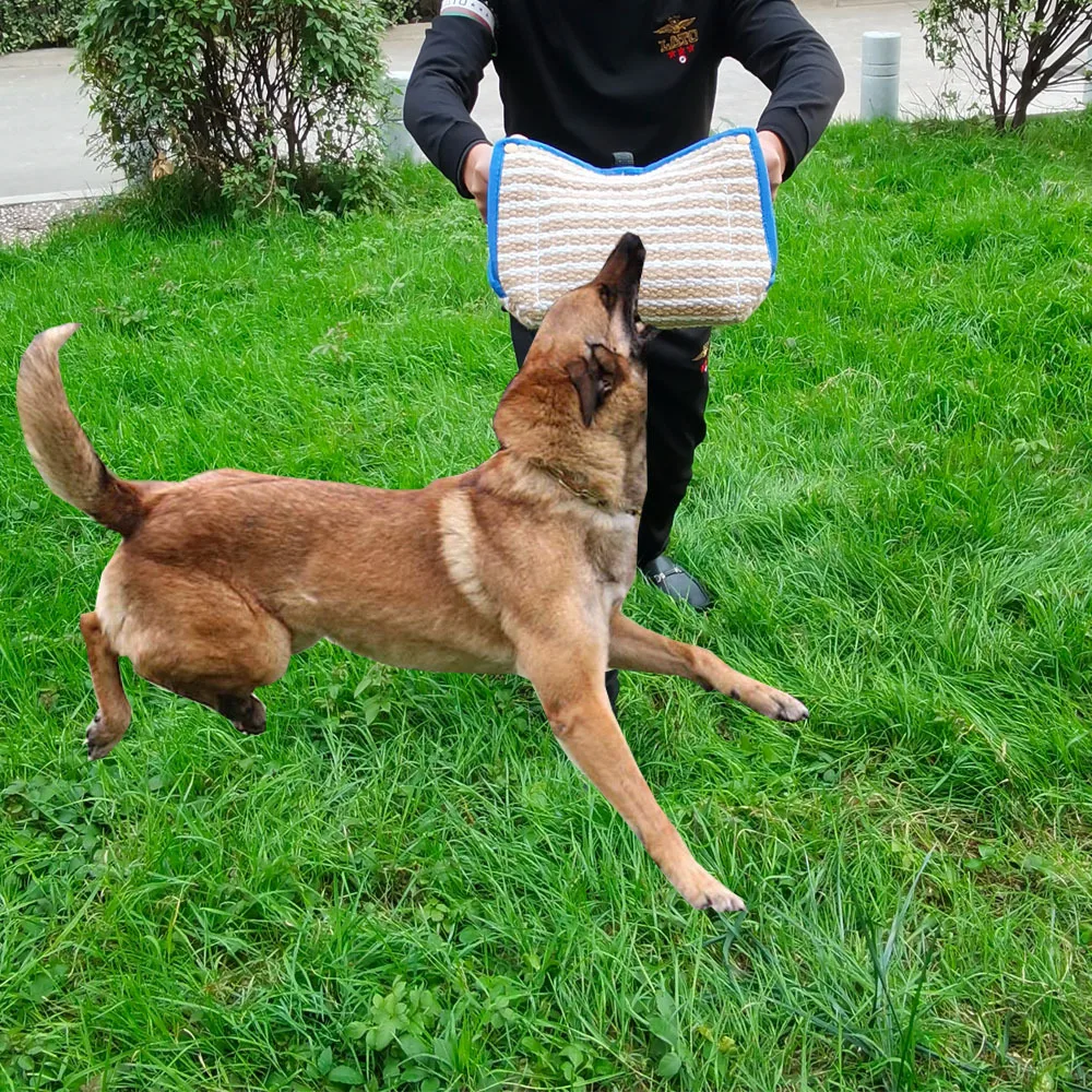 Thumbnail 4 - #41 Ranked Pet Agility Equipment Picks in 2026