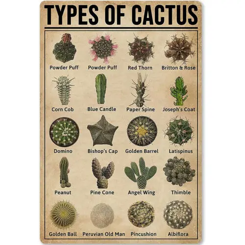 Panneaux en métal : Types de cactus et succulentes – Infographies éducatives pour club
