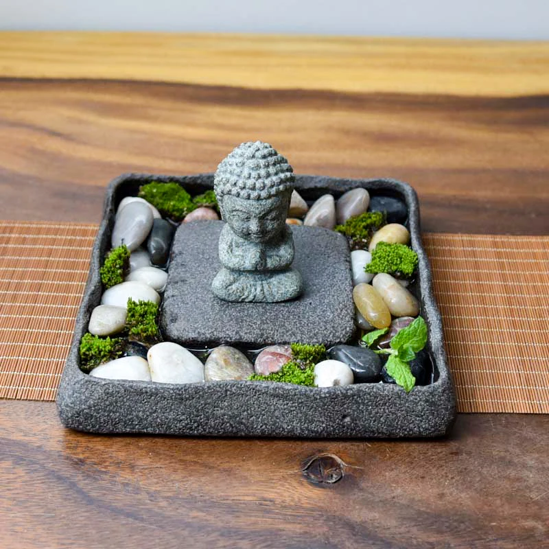 Tea Tray Natural Stone Plant Pot Bonsai Plate Landscape Table Garden Volcanics Home Decoration Craft Office Teaware Originality