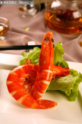 Cnc liga de alumínio servo ajustável instalar suporte montagem para rc avião barco carro mg995 corona ds558hv servo suporte